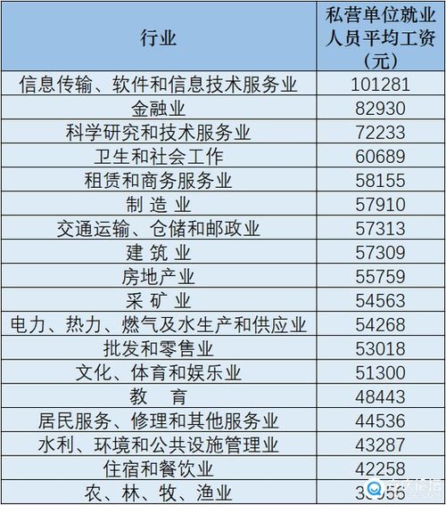 2020年信息技術(shù)咨詢及服務(wù)行業(yè)平均工資解析 機(jī)遇與挑戰(zhàn)并存